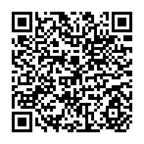 QR Code for Dynamic Modelling of Agroforestry and Soil Fertility Interactions: Implications for Multi-Disciplinary Research Policy