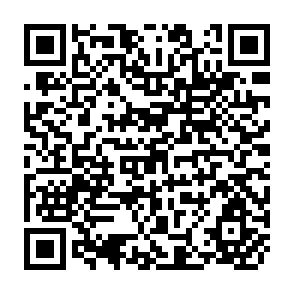 QR Code for Macro and Micro Effects of Subsidy Cuts: A Short-Run CGE Analysis for Egypt