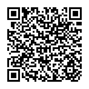 QR Code for Toward Understanding the Value of Intra-Household Survey Data for Age-Based Food Targeting