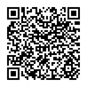 QR Code for Needs and Basic Needs- A Clarification of Meanings, Levels and Different Streams of Work