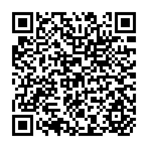 QR Code for Social Safety Nets , Who Needs Them? An Analysis of Household Data From Zimbabwe