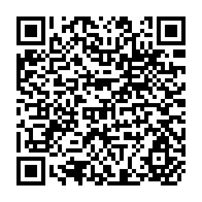 QR Code for Technocracy Questioned: Ideology and Interests in Nicaragua's Economic Policies