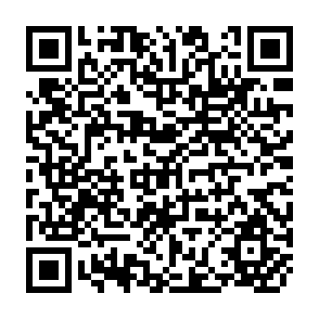 QR Code for The Emerging Global Trading Environment and Developing Aisa