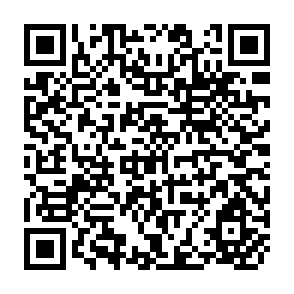 QR Code for Development and Global Governance: Conference Proceedings