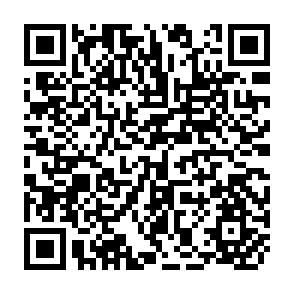 QR Code for Peasants,Politics, and Revolution