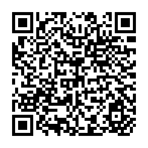 QR Code for The Environment Critique of the economic Process and Some Implications for Economic Analysis