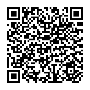 QR Code for Upheavel Along the Silk Route The Dynamics of Economic Transition in Centrat Asia ( Working Papers )