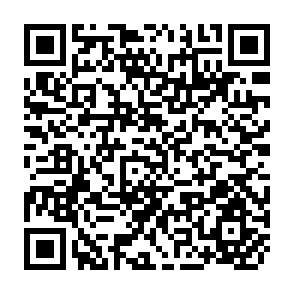 QR Code for Upheavel Along the Silk Route the Dynamics of Economic Transition in Central Asia