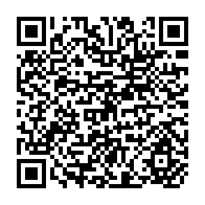 QR Code for The Newest International Labour Studies:Fit for the New World Order