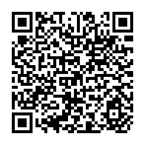 QR Code for World Debt Tables 1996