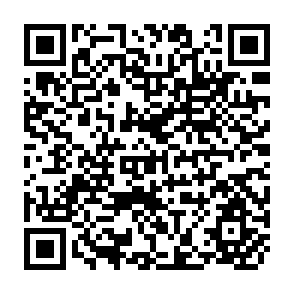QR Code for Reginal Coorperation for Trade and Investment Promotion in South Asia