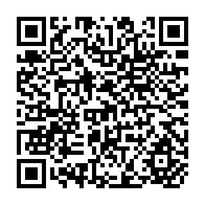 QR Code for The Theory of Price- Third Edition