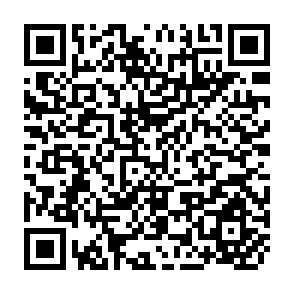 QR Code for Whose Reality Counts ?