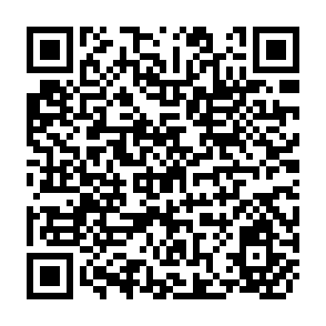 QR Code for Role of Farm-Level Diversification in the Adoption of Modern Technology in Brazil