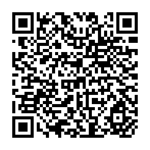 QR Code for Parks, People and Protest: Some Observations on the Mediating Role of Environmental Action Groups in Grassroots Resource Conflicts
