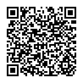 QR Code for Ireland:The"Promised Land" of Malthusian Theory