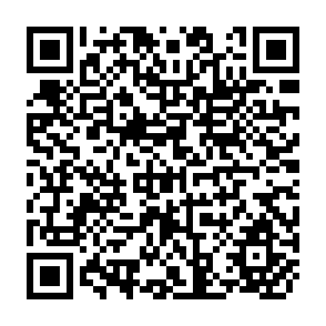 QR Code for Stochastic Economics
