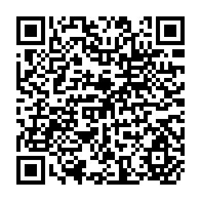 QR Code for Transnational Corporations in the Fertilizer Industry