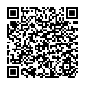 QR Code for Science and Food