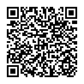 QR Code for Has Agricultural Trade Liberalization Improved Welfare in the Least-Development Countries?