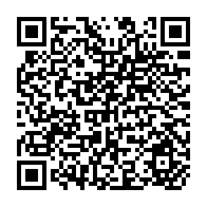 QR Code for The Methodology of Environment and Development Management