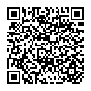QR Code for The Assault on World Poverty