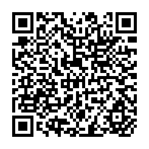 QR Code for Liberalization and Globalization Drawing Conclusions for Development