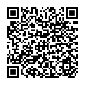 QR Code for Economic Development Problems, Principles, and Policies