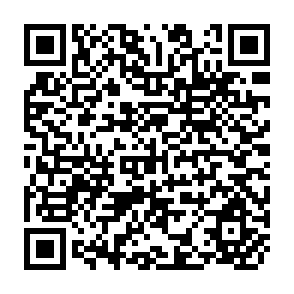 QR Code for Vital Signs 1997: The Environmental Trends That Are Shaping Our Future