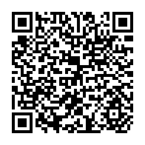 QR Code for Elementary Economics From the Higher Standpoint
