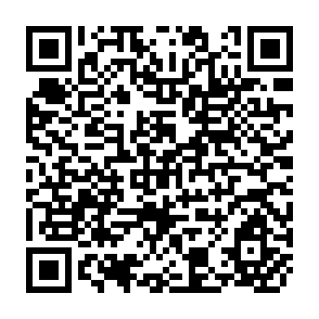 QR Code for Elites in South Asia