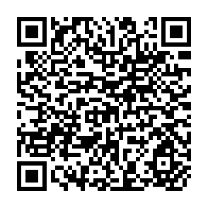 QR Code for The Colombo Statement of Asian NGOs & People's Organisations on People's Empowerment in Asia
