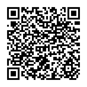 QR Code for The Demand For Food