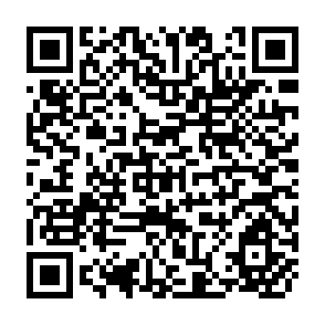 QR Code for NGO Involvement in Small Enteerprise Development an Overview