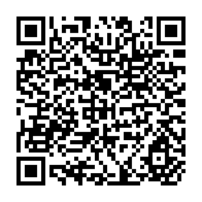 QR Code for the Role of Agriculture in Economic Development