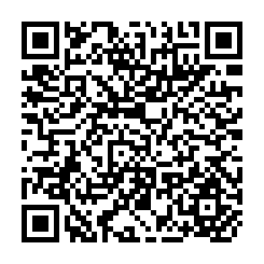 QR Code for Report on Evaluation of the Rural Electrification Programme