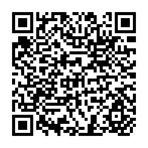 QR Code for Beyond Bretton Woods: Alternative to the Global Economic Order