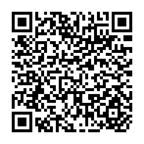 QR Code for The Comilla- Dairy Cattle Programme