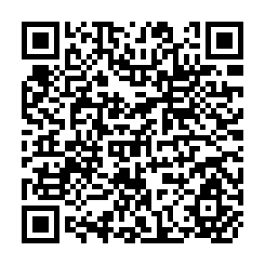 QR Code for Global Economic Prospects and the Developing Countries
