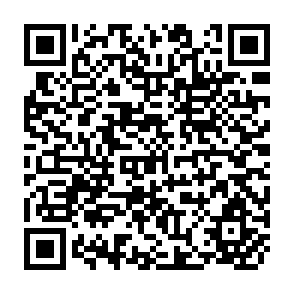 QR Code for Deschool? Try Using Schools for Education First: The Educational Impasse in the Development World