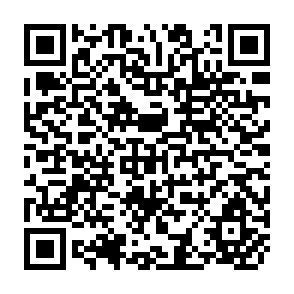 QR Code for Macro-economic Considerations in the Choice of an Agricultural Policy