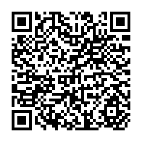 QR Code for A Review of Desertization in Africa -- Water, Vegetation, and Man