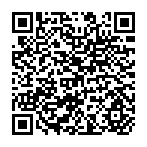 QR Code for Environmental Impact of Macroeconomics and Sectoral Policies