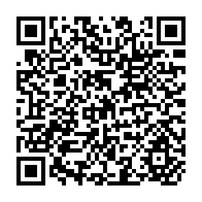 QR Code for The Agricultural Revolution Came First