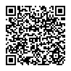 QR Code for China In The Year 2001