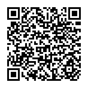 QR Code for The Cultural Dimension of Development
