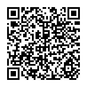 QR Code for Changing Public and Private Roles in Agricultural Service Provision