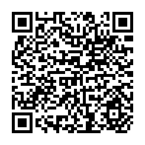 QR Code for The Sulu Zone