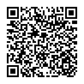 QR Code for Third Report on the World Nutrition Situation