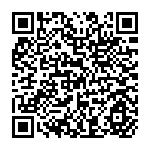QR Code for Synthesis of the Technical Background Documents
